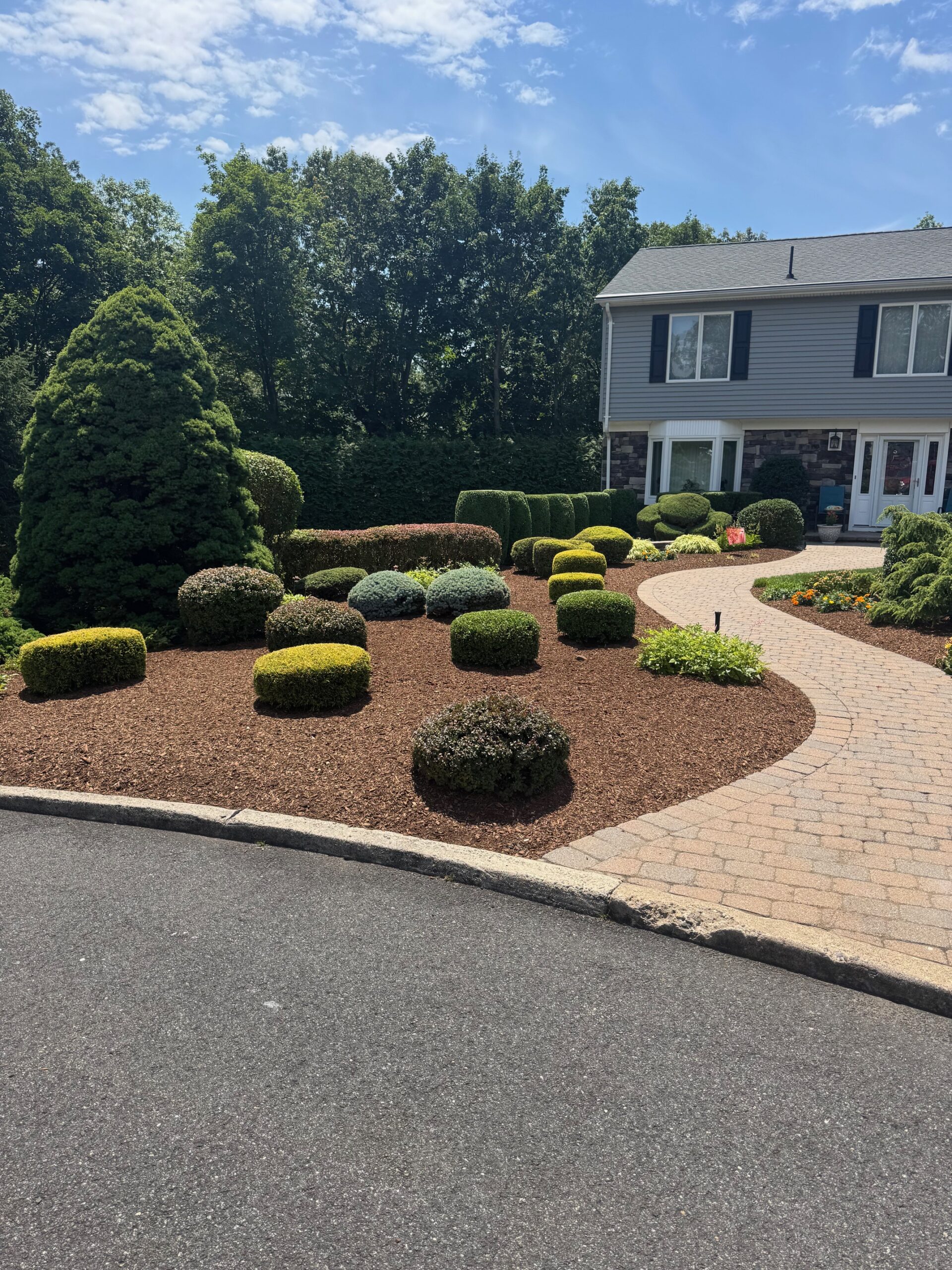 Pruning, Mulch IMG_3344